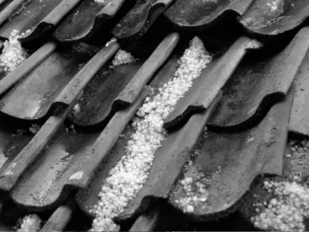 Blog Post 1 (2)
